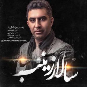 جواد کمالی راد سالار زینب جواد کمالی راد سالار زینب