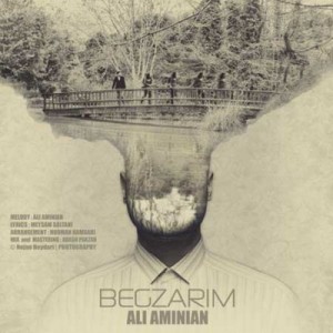 Ali-Aminian-Begzarim