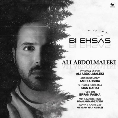 Ali Abdolmaleki - Bi Ehsas
