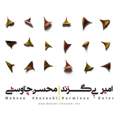 Mohsen Chavoshi - Amire Bi Gazand