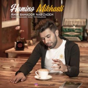 امیر بهادر نبی زاده همینو میخواستی